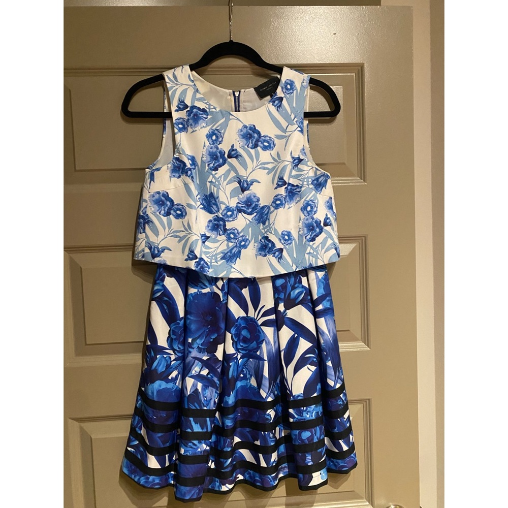 Blue and White Dress